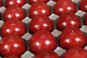 Πάσχα 2025: Οδηγίες ΕΦΕΤ – Τι προσέχουμε στα αυγά και όταν αγοράζουμε κρέας