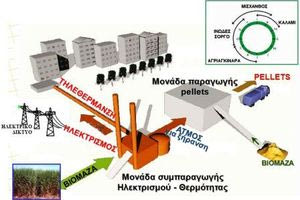 Η ενεργειακή αξιοποίηση της βιομάζας και τα οφέλη της στο περιβάλλον