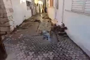 Σε κατάσταση έκτακτης ανάγκης ζητά ο Αλ.Καλοκαιρινός να κηρυχθούν οι Βούτες