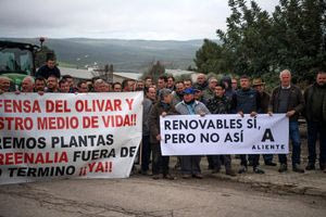 Μάχη για τις ρίζες: Χωριό στην Ισπανία αντιστέκεται στην εγκατάσταση φωτοβολταϊκών στα ελαιόδεντρα