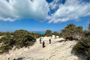 Χρυσή: Απαγορεύεται και φέτος η αποβίβαση επισκεπτών στο νησί