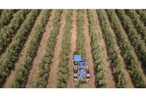 Πληρωμή έως 260 εκατ. ευρώ μέχρι τέλος Μαΐου ετοιμάζει ο ΟΠΕΚΕΠΕ