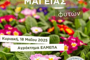 «Ημέρα Μαγείας Φυτών» στη Σχολή Γεωπονικών Επιστημών – Ελληνικό Μεσογειακό Πανεπιστήμιο