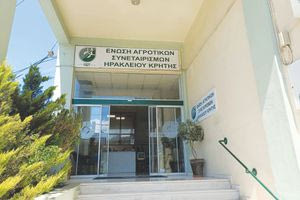 Ένωση Ηρακλείου: “Πολύ ικανοποιητικές οι τιμές στα οινοστάφυλα” (βίντεο)