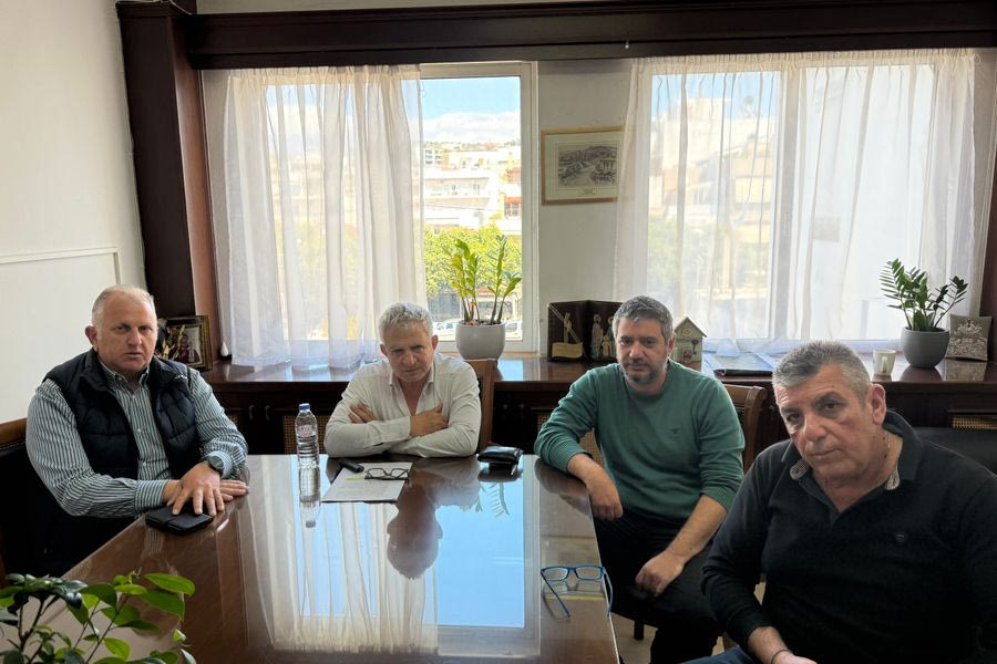 Δήμος Φαιστού: Δωρεάν πρόγραμμα ηλεκτρονικής σήμανσης και στειρώσεων ζώων συντροφιάς