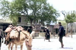 Λιοντάρια, 1905…