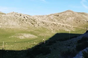 Ιωάννινα: Βρέθηκαν οστά και κρανίο σε εξαιρετικά δύσβατο σημείο