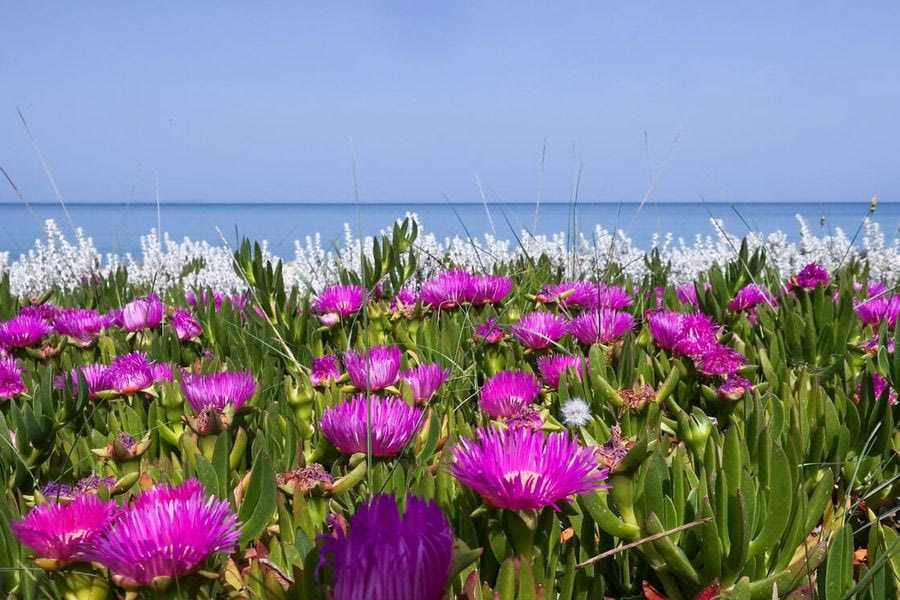 Ο καιρός της Μ. Εβδομάδας: Για μπάνιο το πρωί, με ομπρέλα στον Επιτάφιο
