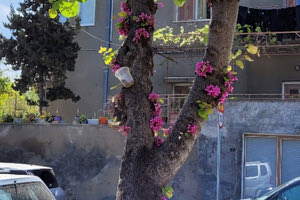 Γιατί υπάρχουν δοχεία στις κουτσουπιές στο Ηράκλειο;