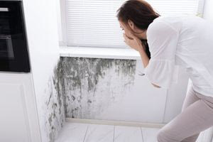 Μούχλα στο σπίτι: 3 καθημερινές συνήθειες που την προκαλούν
