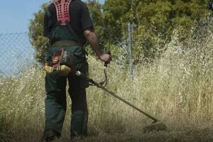 Ακαθάριστα οικόπεδα: Μέχρι πότε δόθηκε παράταση