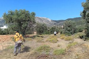 «Βροχή» οι καταγγελίες για τα ακαθάριστα οικόπεδα