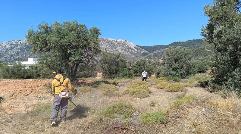 Ακαθάριστα οικόπεδα: Υπέρογκο το κόστος για τον καθαρισμό – Η προθεσμία και τα πρόστιμα