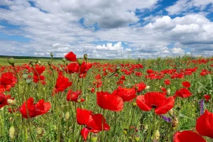 Πάσχα 2025: Τι καιρό θα κάνει τη Μεγάλη Εβδομάδα