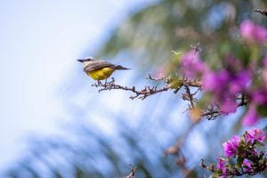 Ανοιξιάτικος ο καιρός και στην Κρήτη – η πρόγνωση για την Μ. Εβδομάδα