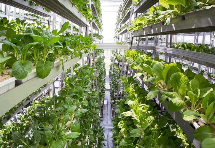 Πώς η Σιγκαπούρη καλλιεργεί τρόφιμα χωρίς καλλιεργήσιμη γη
