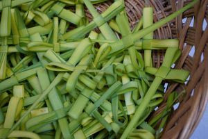 Αναμνήσεις από τους Σταυρούς και τα Βάγια του παππού