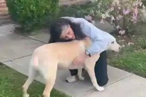 Δείτε πώς αντέδρασαν οι σκύλοι μιας αστροναύτου της NASA όταν την είδαν πρώτη φορά μετά από 9 μήνες