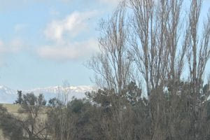 Ατενίζοντας το παρελθόν εκ του μακρόθεν