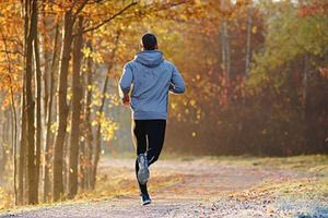 Ο εγκέφαλος «τρώει» τον εαυτό του σε περιόδους έλλειψης ενέργειας