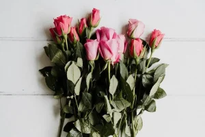 Στο έδαφος ή στην γλάστρα ευδοκιμούν καλύτερα τα τριαντάφυλλα; Ειδικός εξηγεί