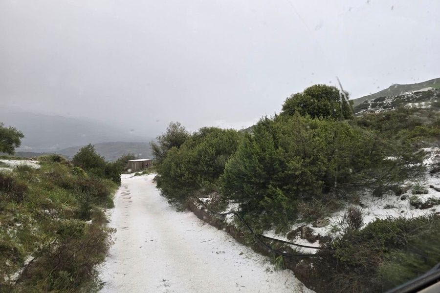 Η χαλαζόπτωση έφερε πολλά προβλήματα στις καλλιέργειες και στον Δήμο Βιάννου