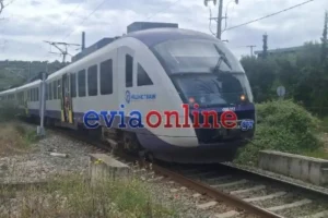 Χαλκίδα: Η καταγγελία του οδηγού του φορτηγού για το τροχαίο με τον Προαστιακό – «Οι μπάρες δεν είχαν κατέβει»