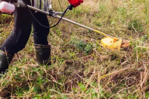 Ανακοινώθηκε η παράταση έως τις 15 Ιουνίου για τις δηλώσεις καθαρισμού οικοπεδικών και ακάλυπτων χώρων