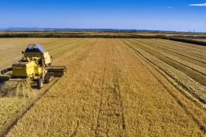 Ευρώπη: Σχεδιάζει τον «οδικό χάρτη» έως το 2040 για το μέλλον της γεωργίας και των τροφίμων