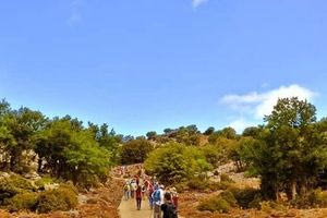 Μαλεβίζι: Δημοπράτηση για την κατασκευή μονοπατιών πεζοπορίας