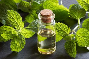 Το φυσικό αγχολυτικό που καταπολεμά το στρες και την αϋπνία