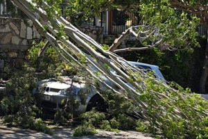Δέντρο “προσγειώθηκε”  σε αυτοκίνητο στον Ζαρό λόγω των ισχυρών ανέμων