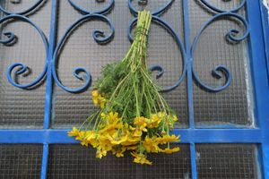 Η Πρωτομαγιά του 1924