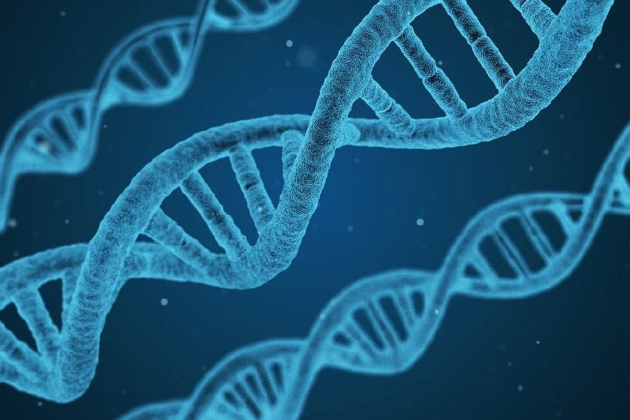 Ελληνικός Χάρτης Σπανίων Παθήσεων: Τι είναι και τι προσφέρει