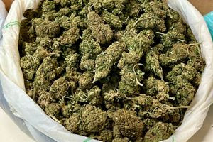 Ρέθυμνο: Χάλασαν το deal ναρκωτικών οι αστυνομικοί – Χειροπέδες σε δύο