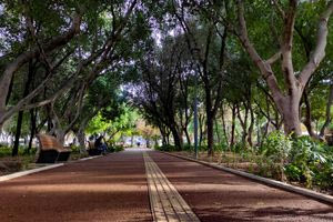 Μία δράση για τα παιδιά γεμάτη εικόνα, χρώμα, άρωμα λουλουδιών και μελωδία στο Πάρκο Γεωργιάδη