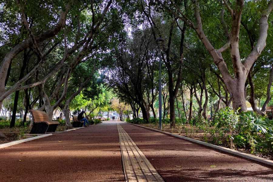 Μία δράση για τα παιδιά γεμάτη εικόνα, χρώμα, άρωμα λουλουδιών και μελωδία στο Πάρκο Γεωργιάδη