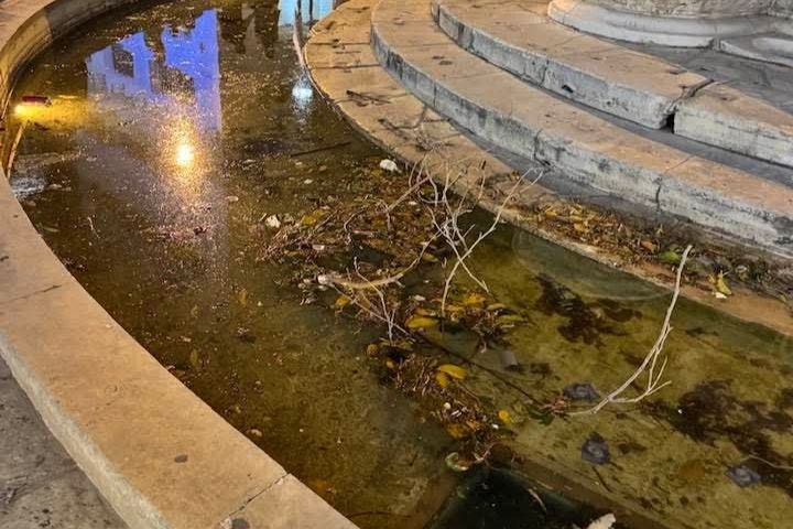 Τα Λιοντάρια “της οργής”