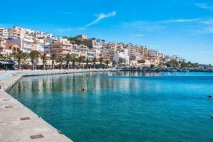 «Ξήλωσαν» τα δέντρα του Δήμου – Δύο συλλήψεις στη Σητεία