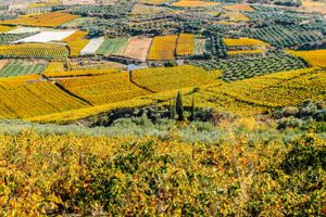 Η Κρήτη στους “must go” προορισμούς του Condé Nast Traveler για το 2026