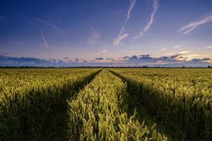 Νέα ΚΑΠ: Νέα μέτρα και ενισχύσεις