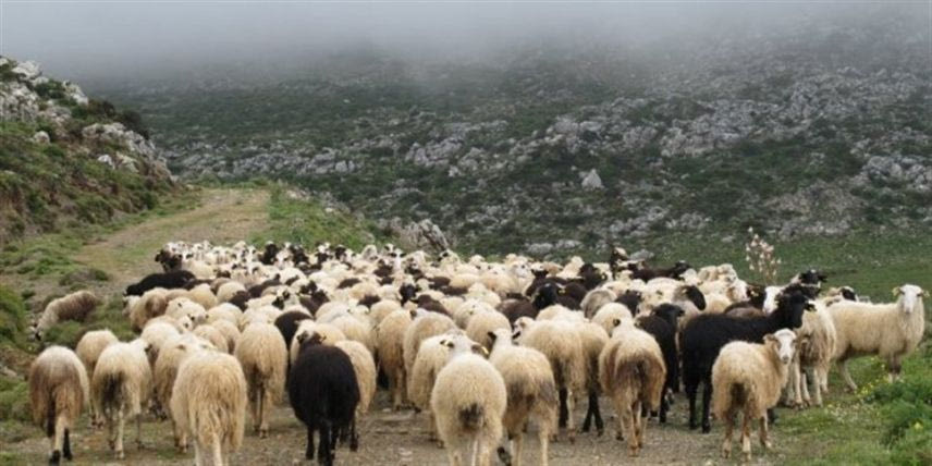 Χθες σήμερα αύριο 21/5/2025