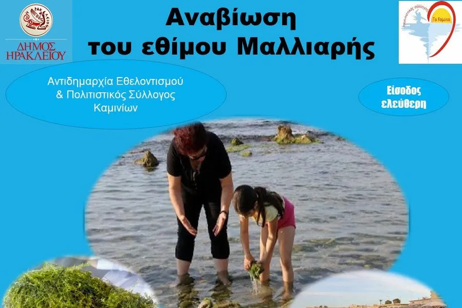 Αναβιώνει για άλλη μια χρονιά το έθιμο της Μαλλιαρής Πέτρας στον Καράβολα