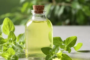 Οι ευεργετικές ιδιότητες της ρίγανης και του ριγανελαίου