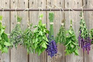 Έντεκα αρωματικά φυτά που μπορούμε να καλλιεργήσουμε ακόμα και μέσα στο σπίτι