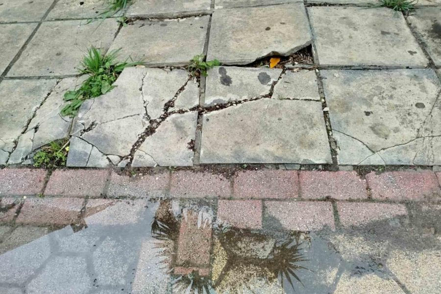 «Ναρκοπέδιο» η πλατεία Αυγενικής – Ένας θάνατος η σταγόνα που ξεχείλισε το ποτήρι