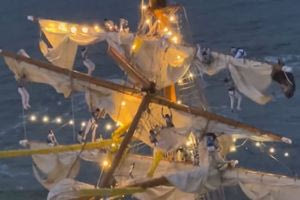 Γέφυρα του Μπρούκλιν: Αυτή είναι η πιθανή αιτία για την φονική πρόσκρουση του ιστιοφόρου