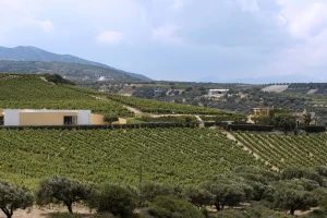 Premia Properties: Οι επενδύσεις που τη φέρνουν στην Κρήτη