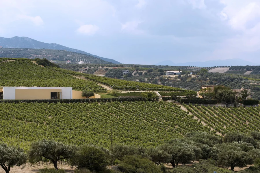 Premia Properties: Οι επενδύσεις που τη φέρνουν στην Κρήτη