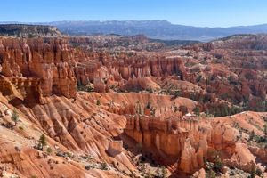 Ζευγάρι έπεσε σε φαράγγι 115 μέτρων – Είχαν μαζί τους τη γάτα τους, που… επέζησε